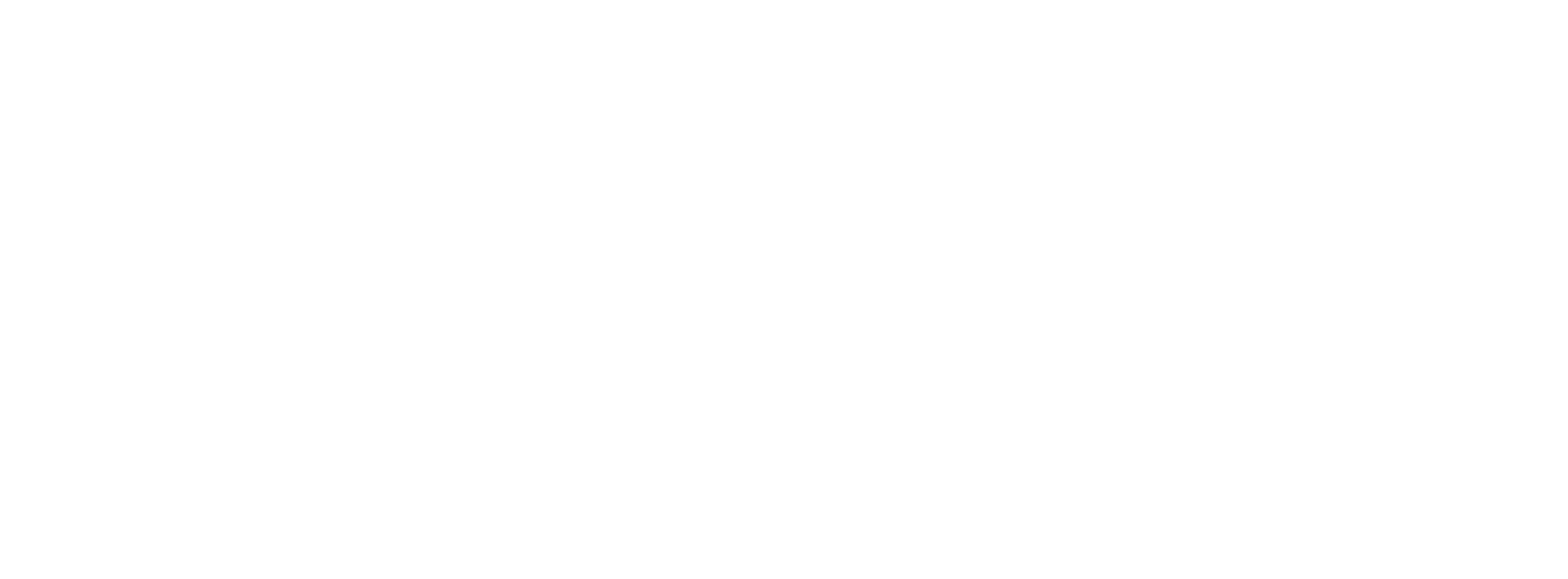 Car Hunters